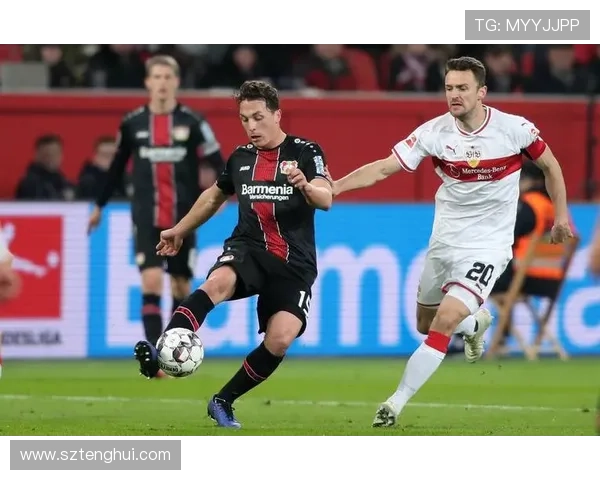 斯图加特阵容深度分析：新赛季前备战状态与潜力球员表现稳健