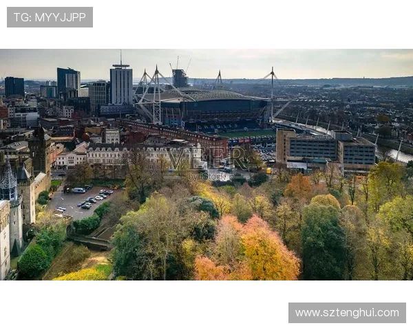 威尔士卡迪夫球场