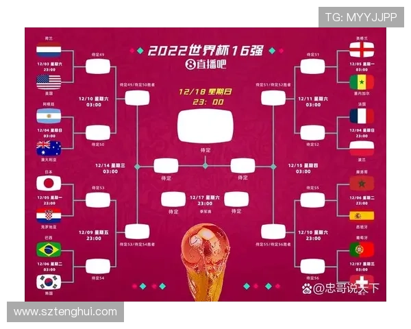 塞内加尔世界杯小组赛战报：晋级形势与结果整理